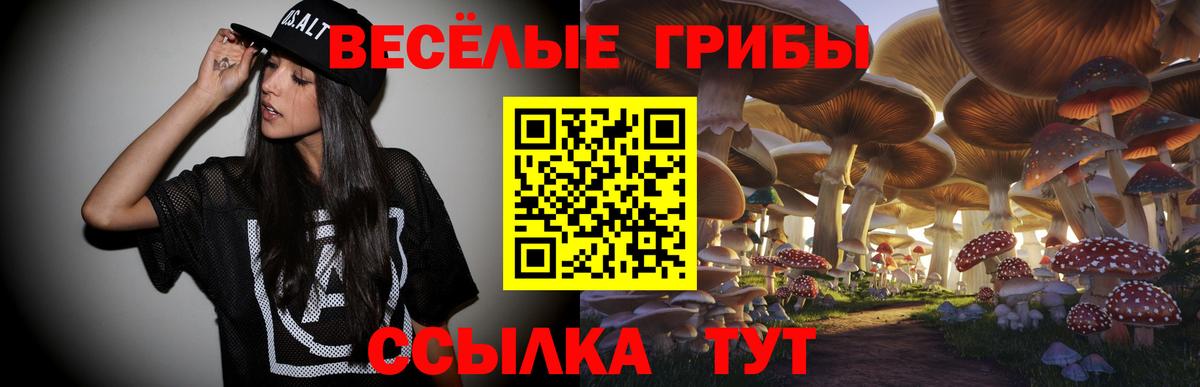 Псилоцибиновые грибы прущие грибы  Вход с VPN  Псилоцибиновые грибы GOLDEN TEACHER  Майский 